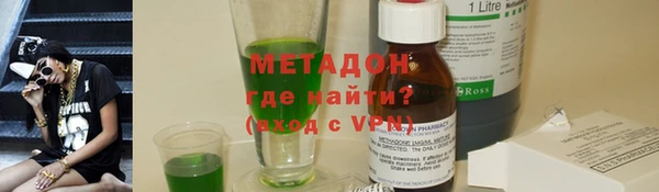 прущие грибы Елизово