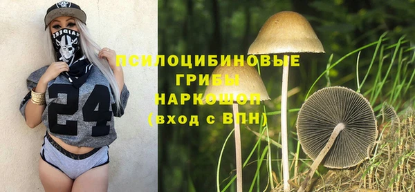 гидропоника Заволжск