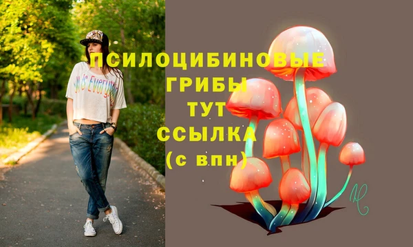 МДПВ Заволжье