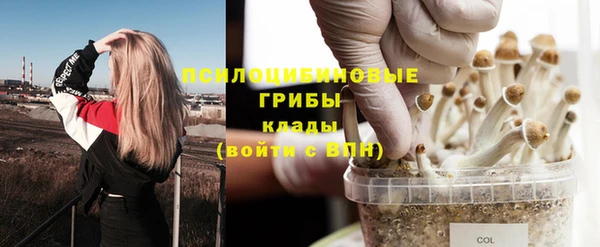 ECSTASY Заводоуковск