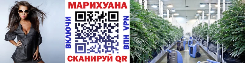 blacksprut как войти  Чехов  МАРИХУАНА SATIVA & INDICA 